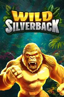 Wild Silverback